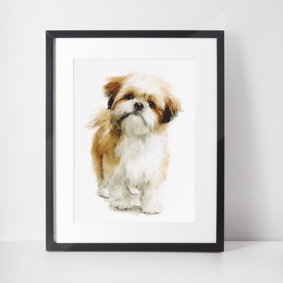 Watercolor Shih Tzu Dog Portrait Wall Art Print Poster Unframed - Pet Artwork - Picture 3 of 5